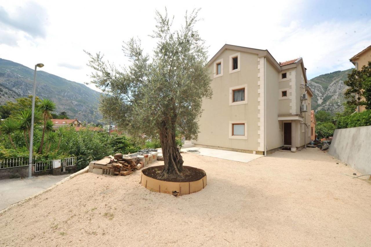 Apartments Olive Kotor Exteriér fotografie
